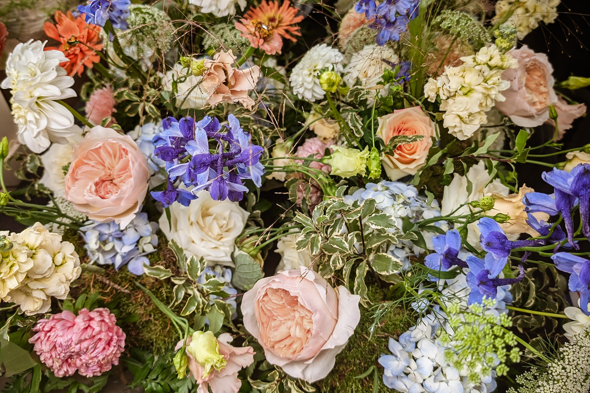 Sweetpea Macfie Chesterfield Wedding and Funeral Florist