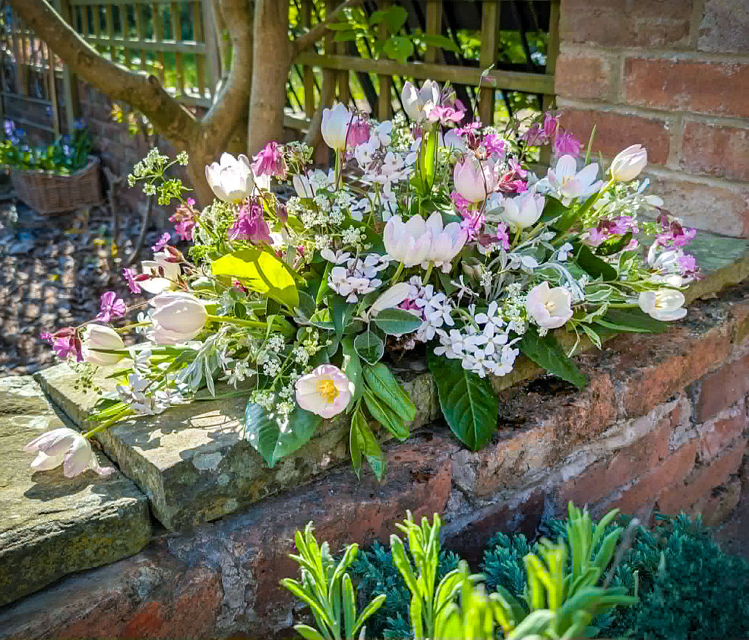 Sweetpea Macfie Chesterfield Florist